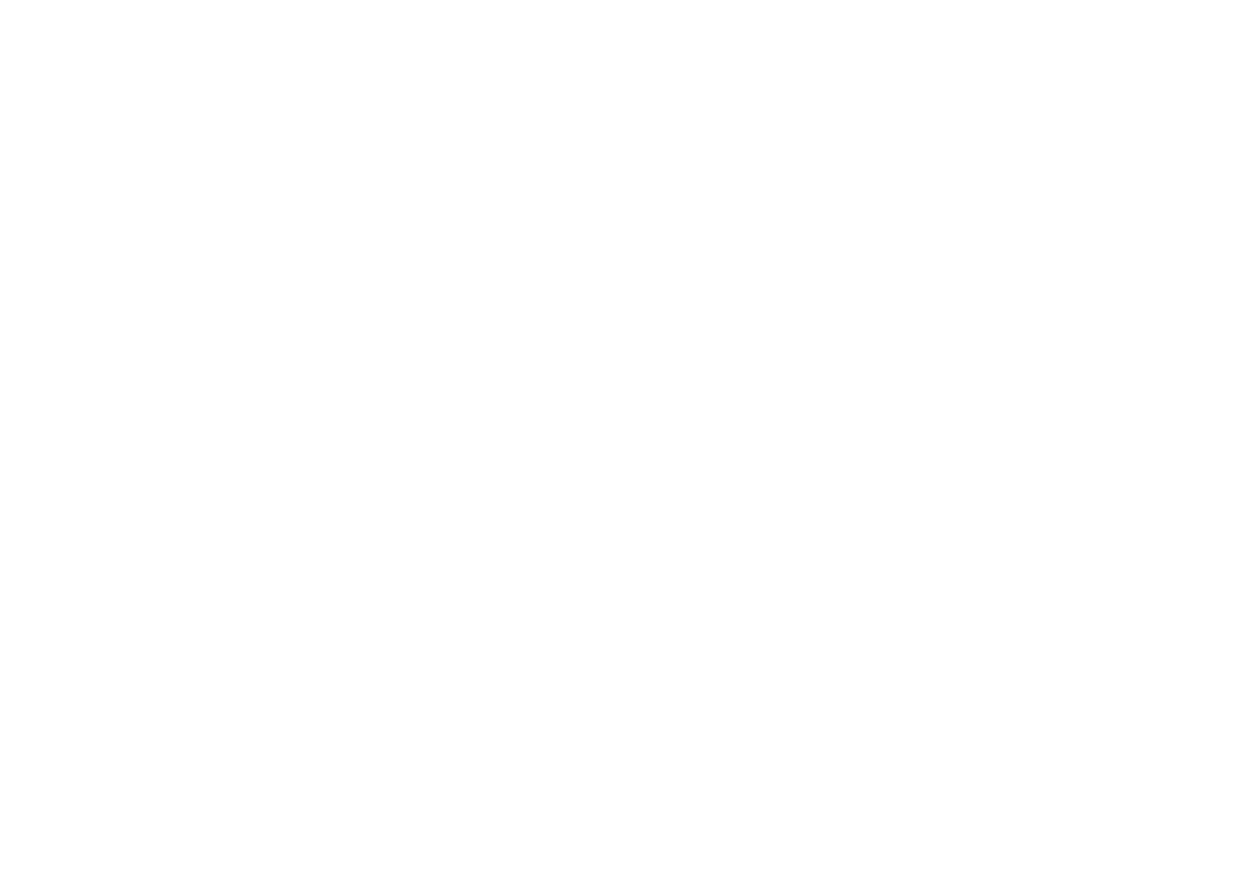 Buena Vista University White Logo