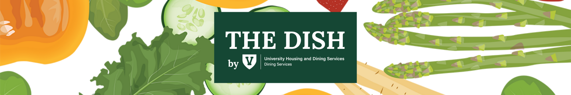 The Dish Header