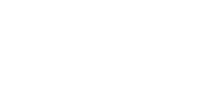 Bluestone logo