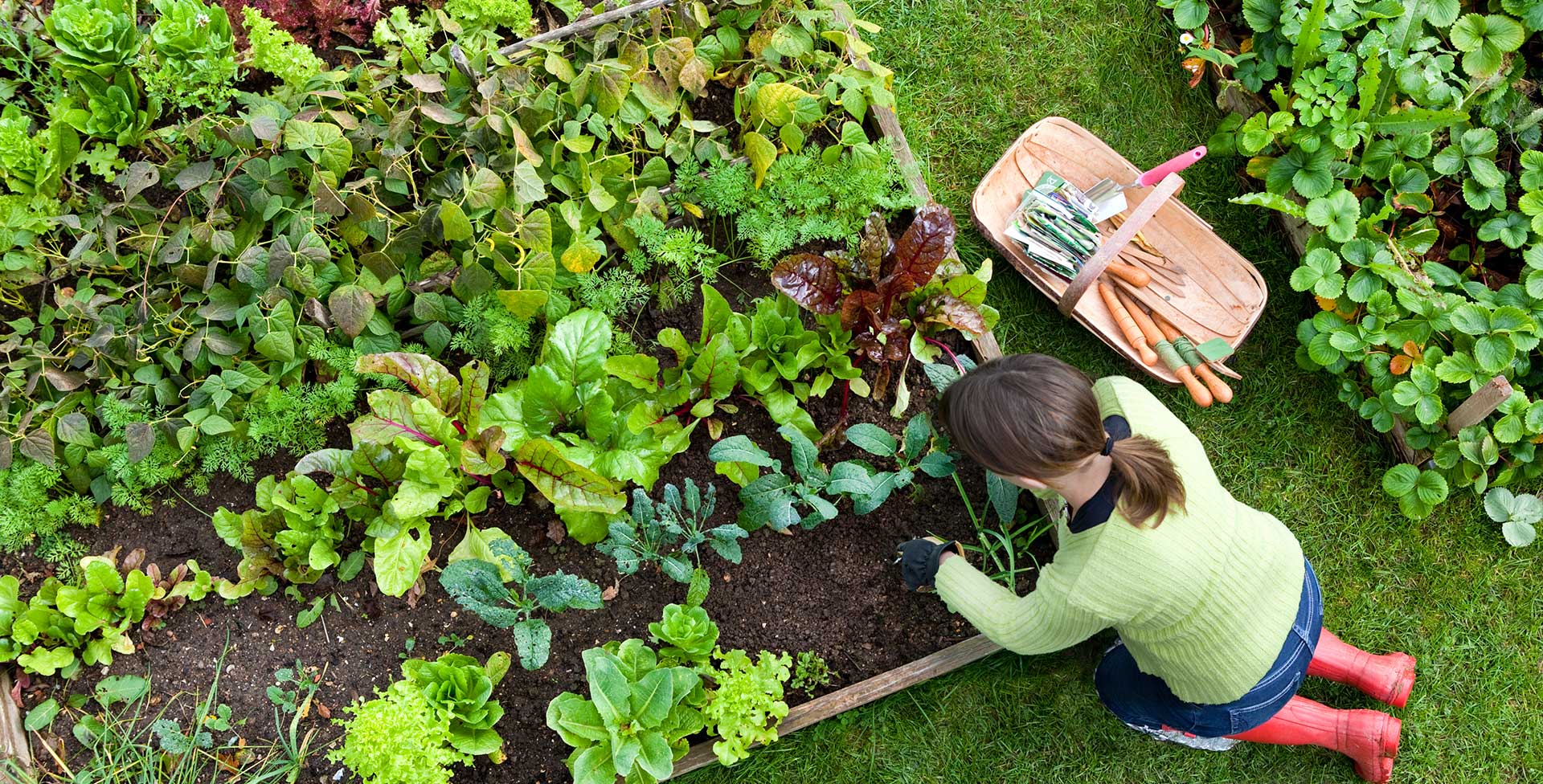 woman gardening