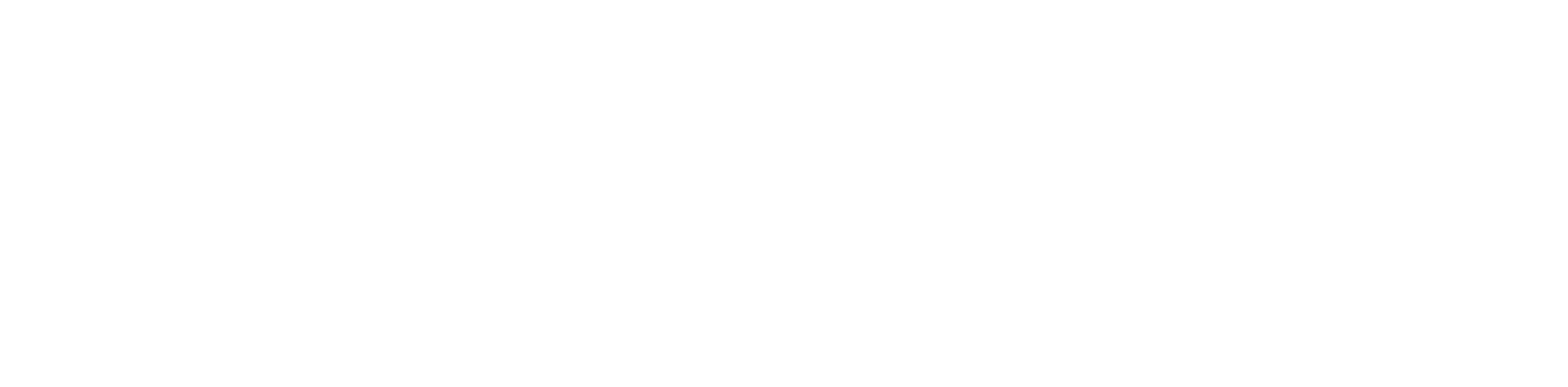 94144001 Embry Riddle - FL Logo